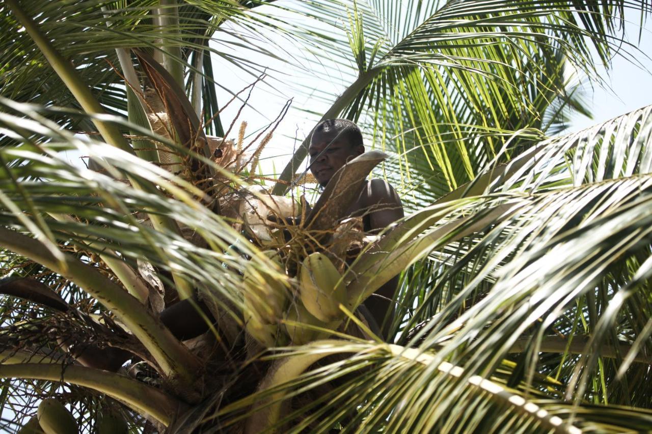 Coconut Village Beach Resort Diani Beach Exterior foto